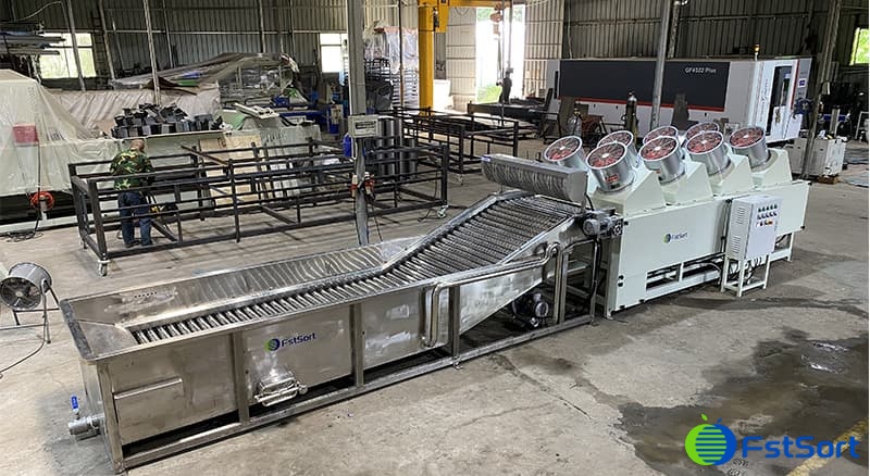 images/1654071633422cherry tomato sorter.jpg